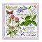 Stupell Industries Wild Herbs Diagram Wall Plaque Art Design by Jane Maday